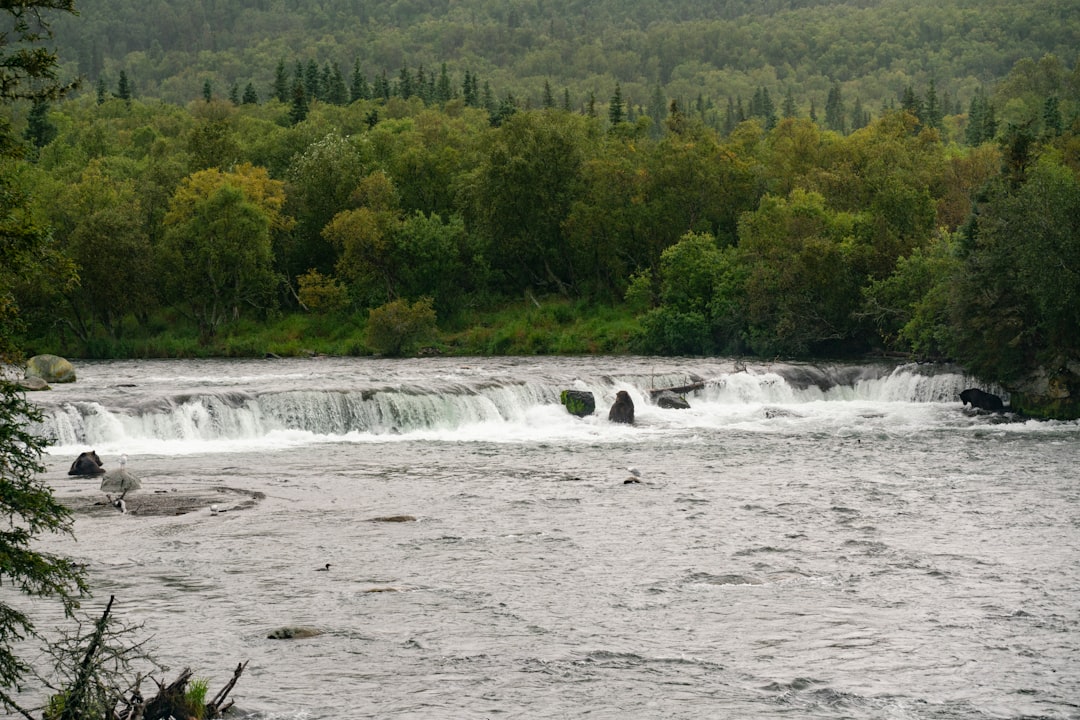Chutes Fourgassier : Un Trésor Caché en Guyane - JMFQ+VJJ | Secret World Trip Planner