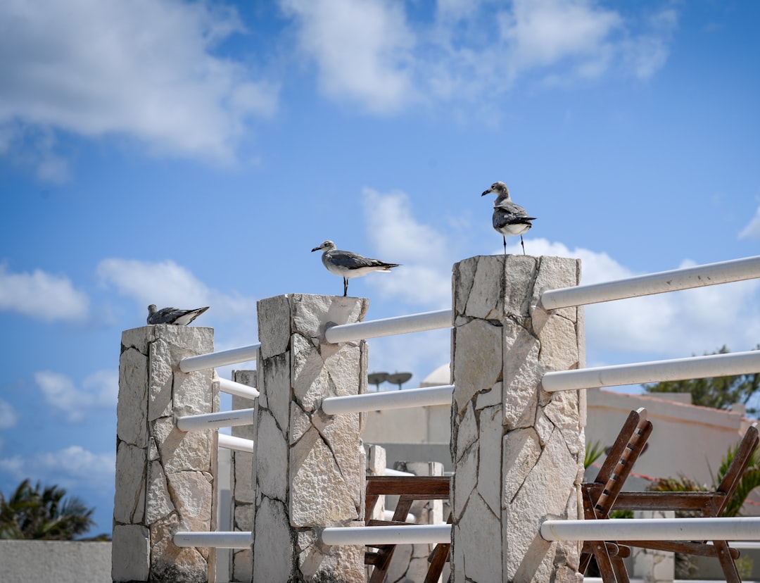 Secret World Review 2026: Your Ultimate Cancun Guide - Cancún | Secret World Trip Planner