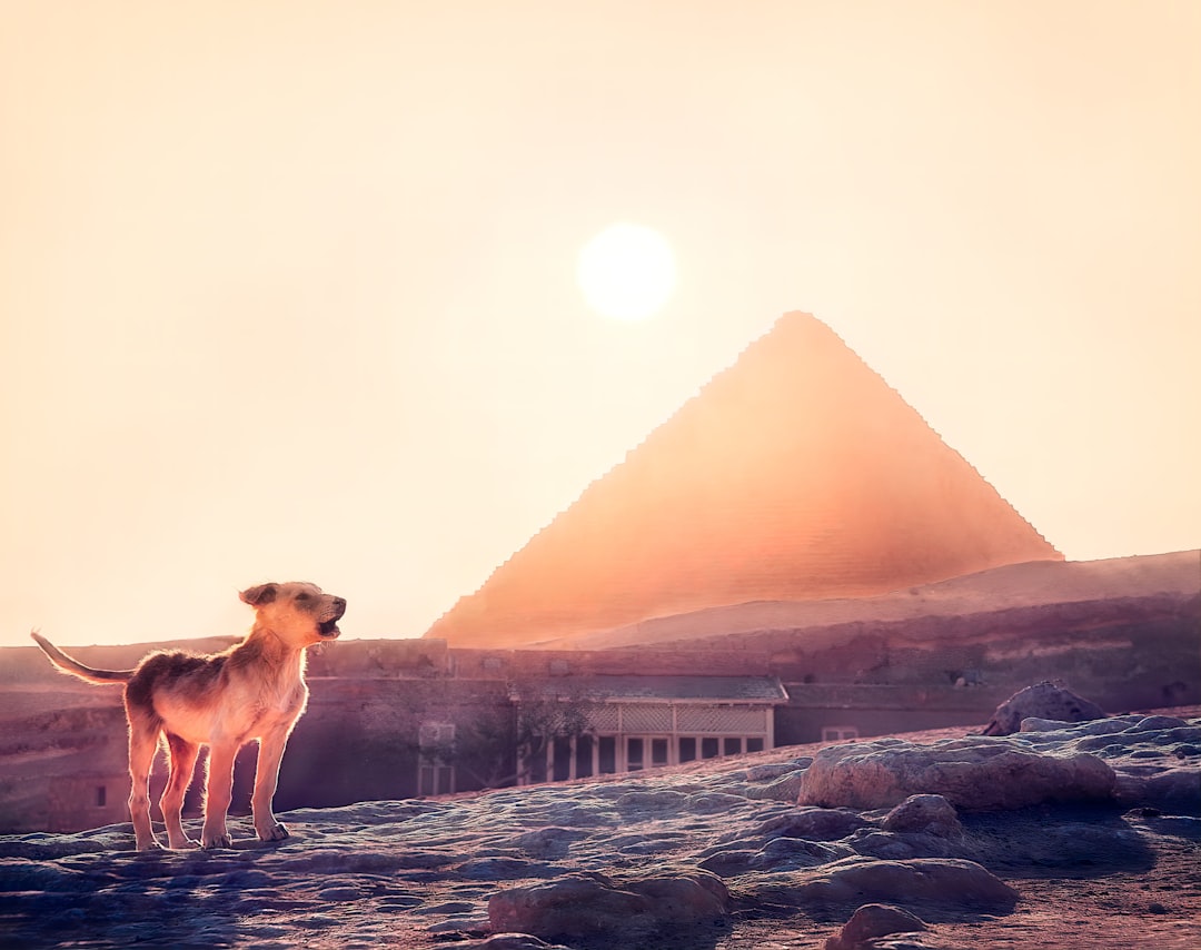 Entdecken Sie Utopia: Ein Naturparadies in Ägypten | Secret World Trip Planner