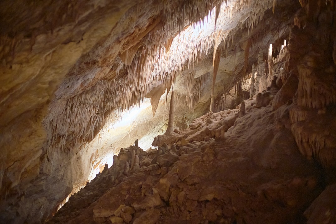 Die faszinierenden Cuevas del Drach: Eine unterirdische Reise - 07680 Porto Cristo | Secret World Trip Planner
