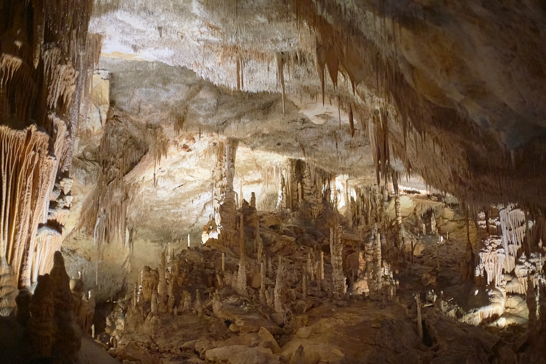 Die faszinierenden Cuevas del Drach: Eine unterirdische Reise - 07680 Porto Cristo | Secret World Trip Planner