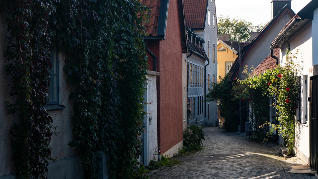 Die Mauer von Visby: Ein Sprung ins schwedische Mittelalter - 621 56 Visby | Secret World Trip Planner