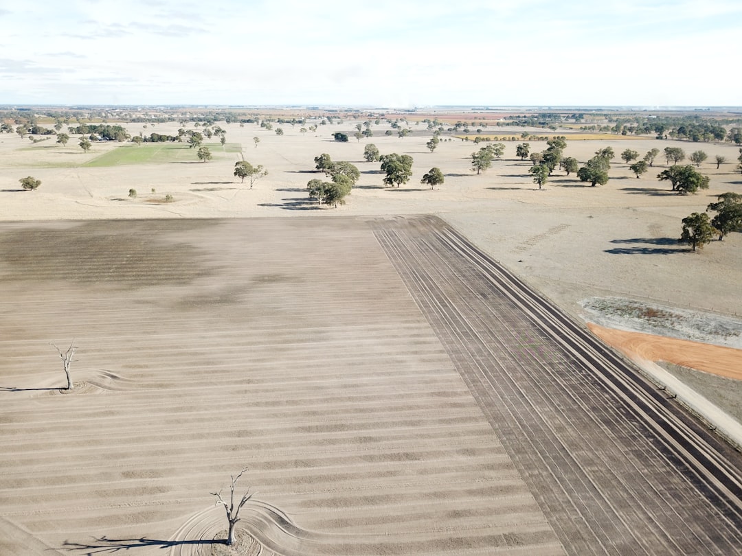Coonawarra: The Cabernet Sauvignon Paradise - Coonawarra SA 5263 | Secret World Trip Planner