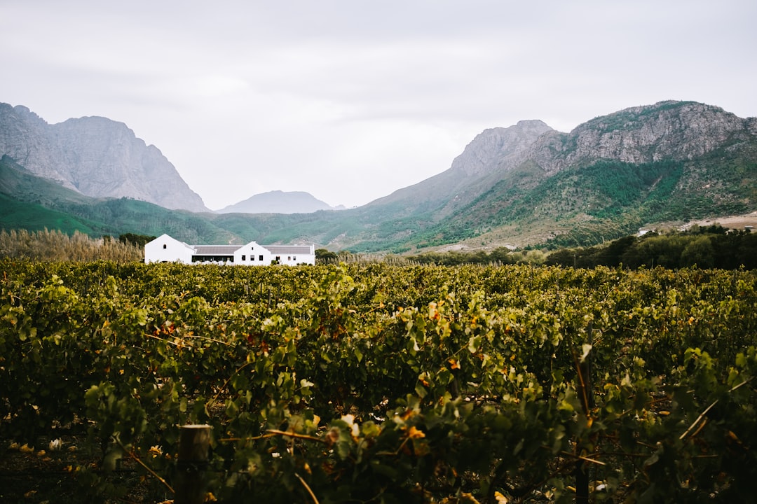 Franschhoek : Le Paradis des Vins en Afrique du Sud — Franschhoek