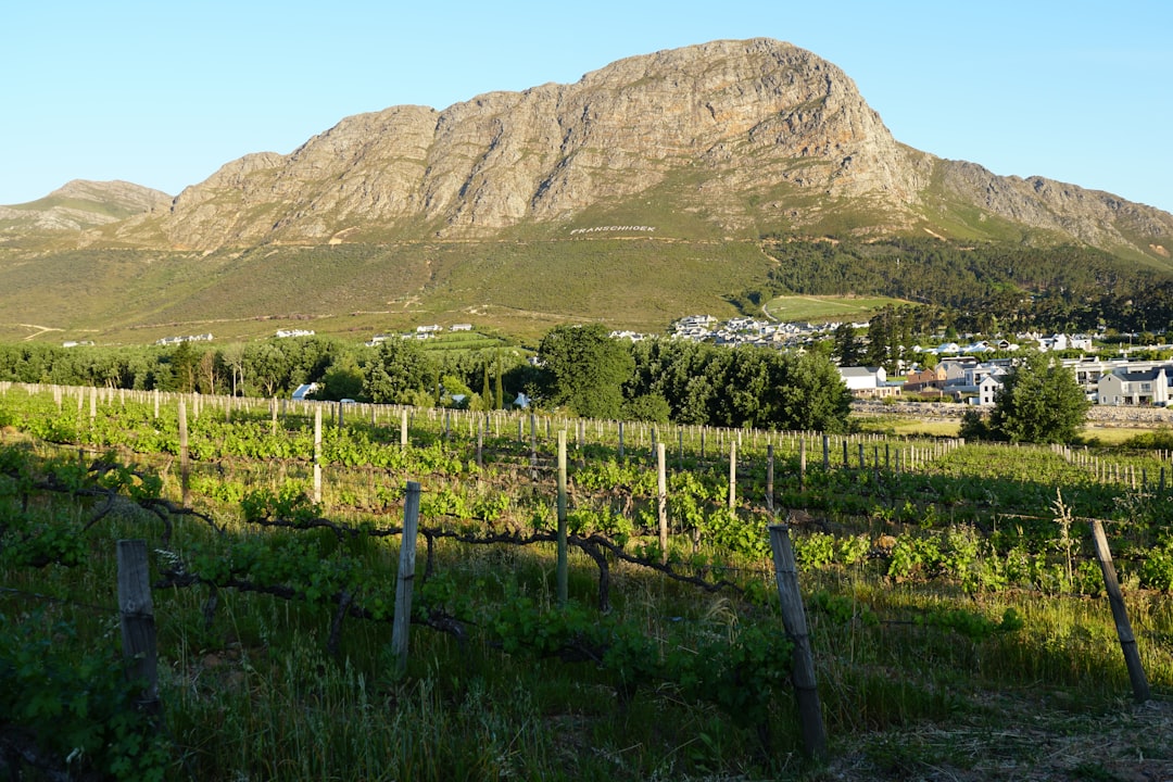 Franschhoek : Le Paradis des Vins en Afrique du Sud - Franschhoek | Secret World Trip Planner