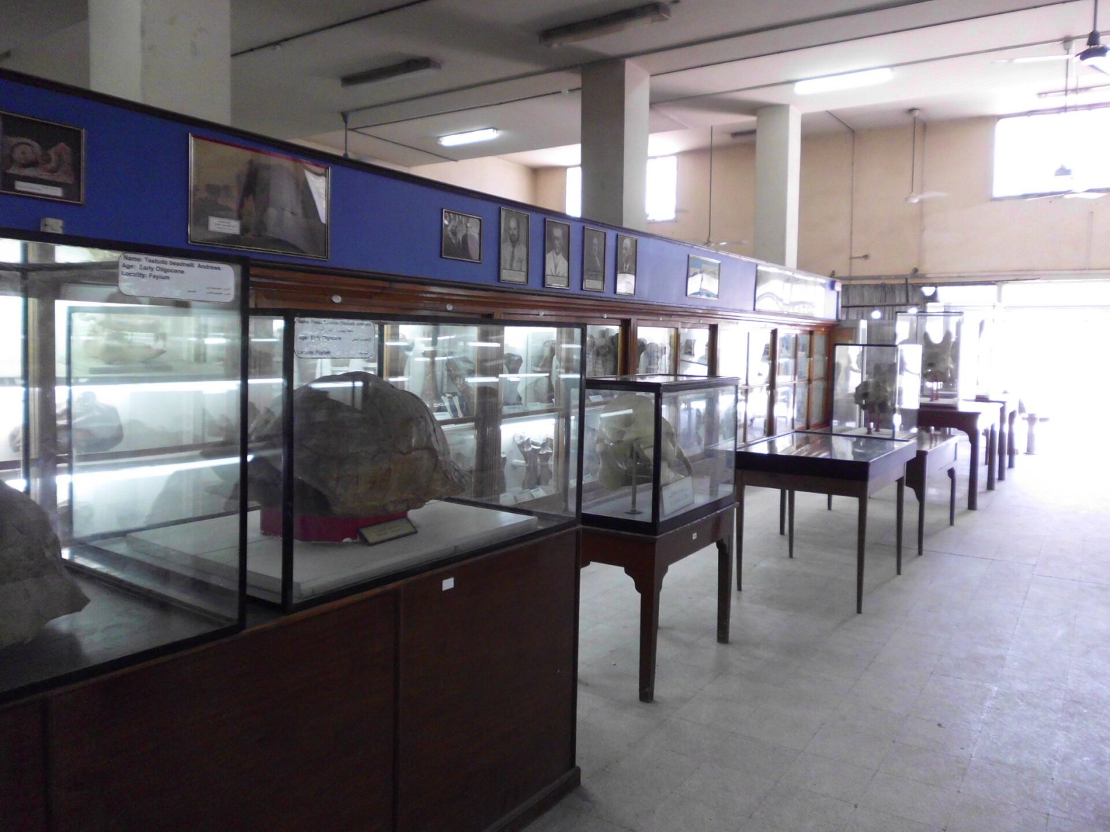 Découvrez le Musée Géologique Égyptien : un trésor au Caire - Athar an Nabi | Secret World Trip Planner