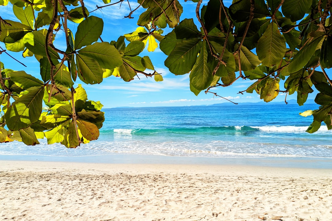 Exploring Playa Blanca: A Natural Paradise in Costa Rica — Herradura