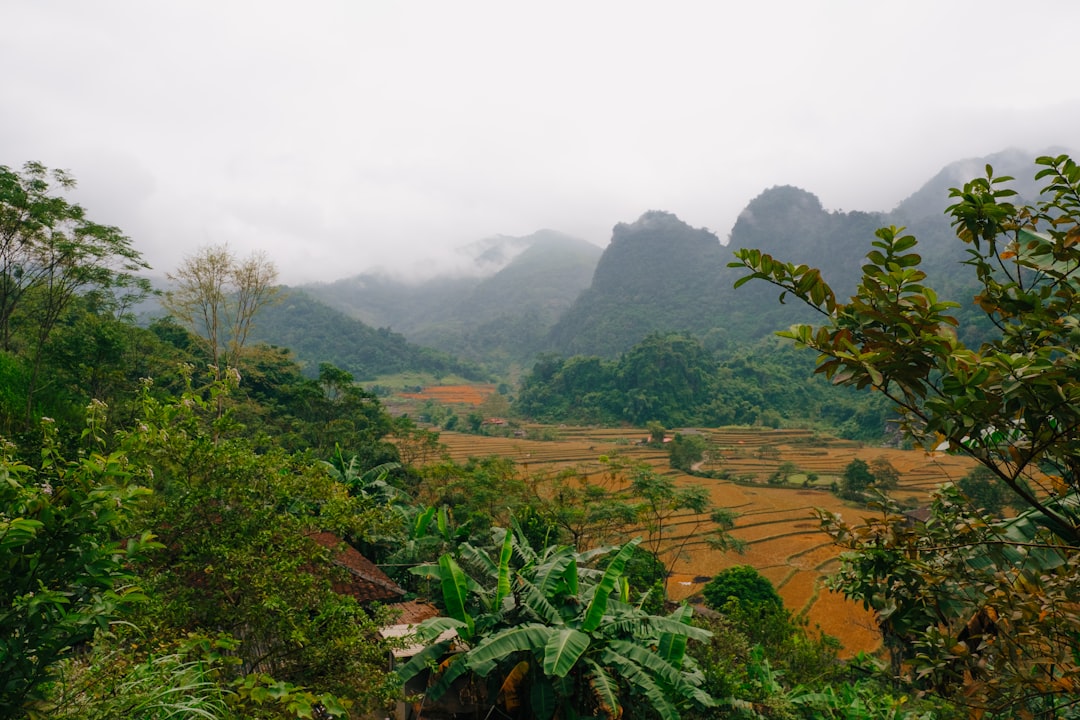 Découvrez la beauté de Phou Den Din, un paradis naturel au Vietnam - Muong Nhe | Secret World Trip Planner