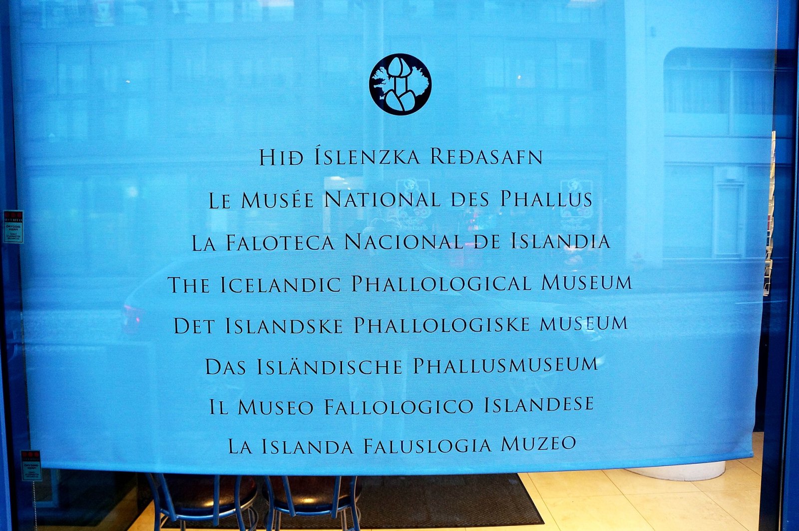 Visit the Icelandic Phallological Museum in Reykjavík — Reykjavík