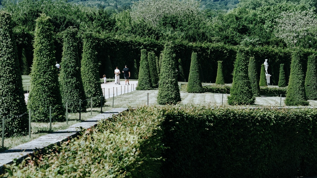 Jardins de la Reine à Versailles : un Éden Verdoyant — Place d'Armes