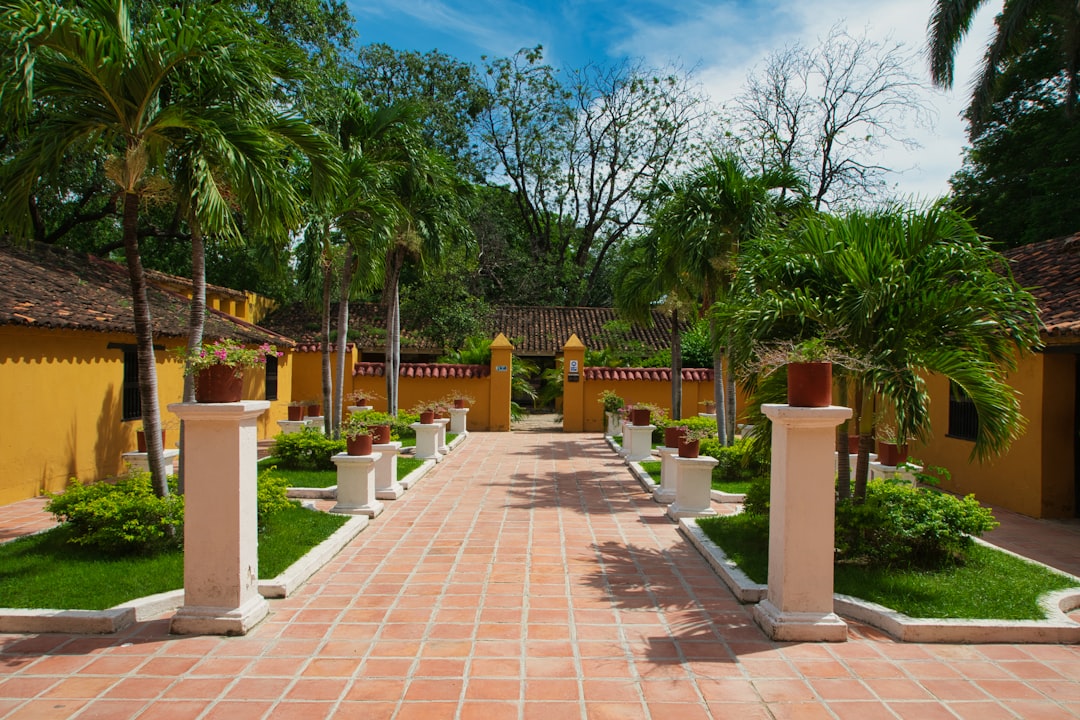 Esplorando il Giardino Botanico José María Orozco - San José | Secret World Trip Planner