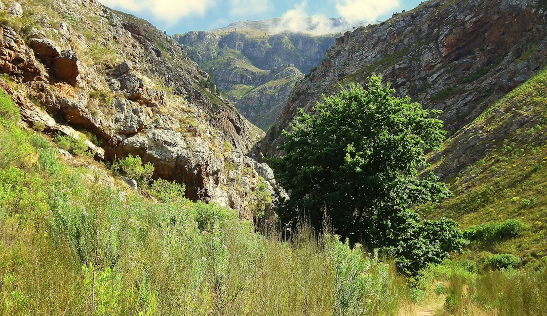 Découvrez le Parc National Sierra De Las Minas - 59C5+5QM | Secret World Trip Planner