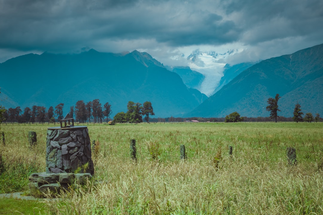 Discover The Bush Markers: A Cultural Treasure of New Zealand - Auckland | Secret World Trip Planner