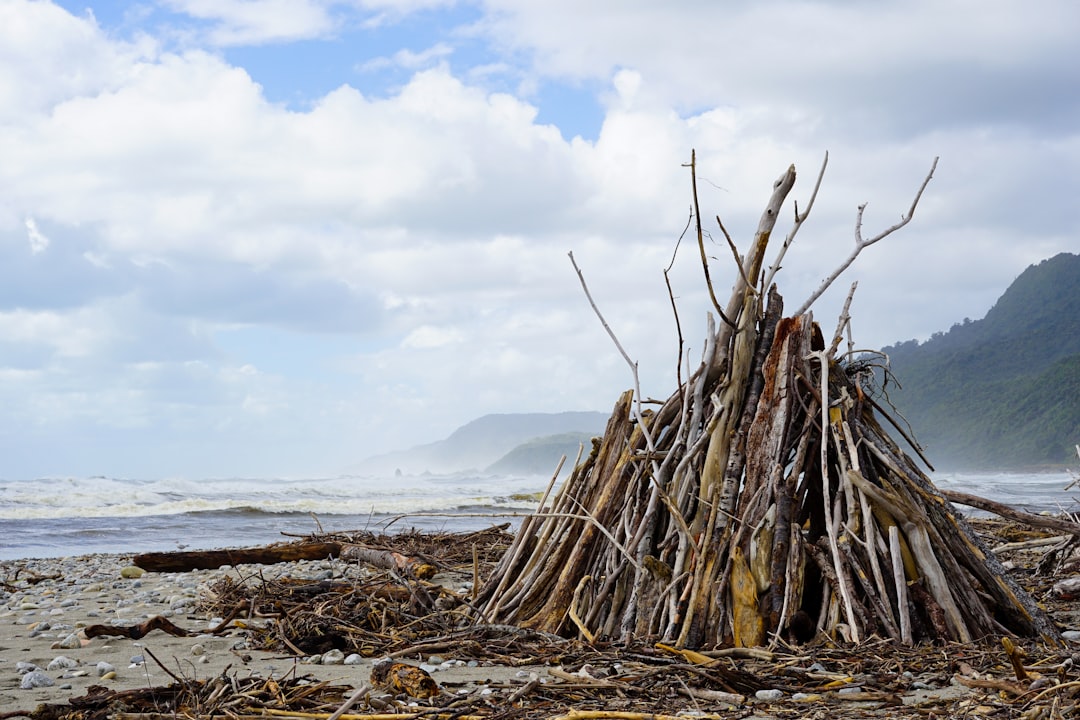 Discover Flotsam: The Video Game Transforming New Zealand Culture - Waiheke Island | Secret World Trip Planner