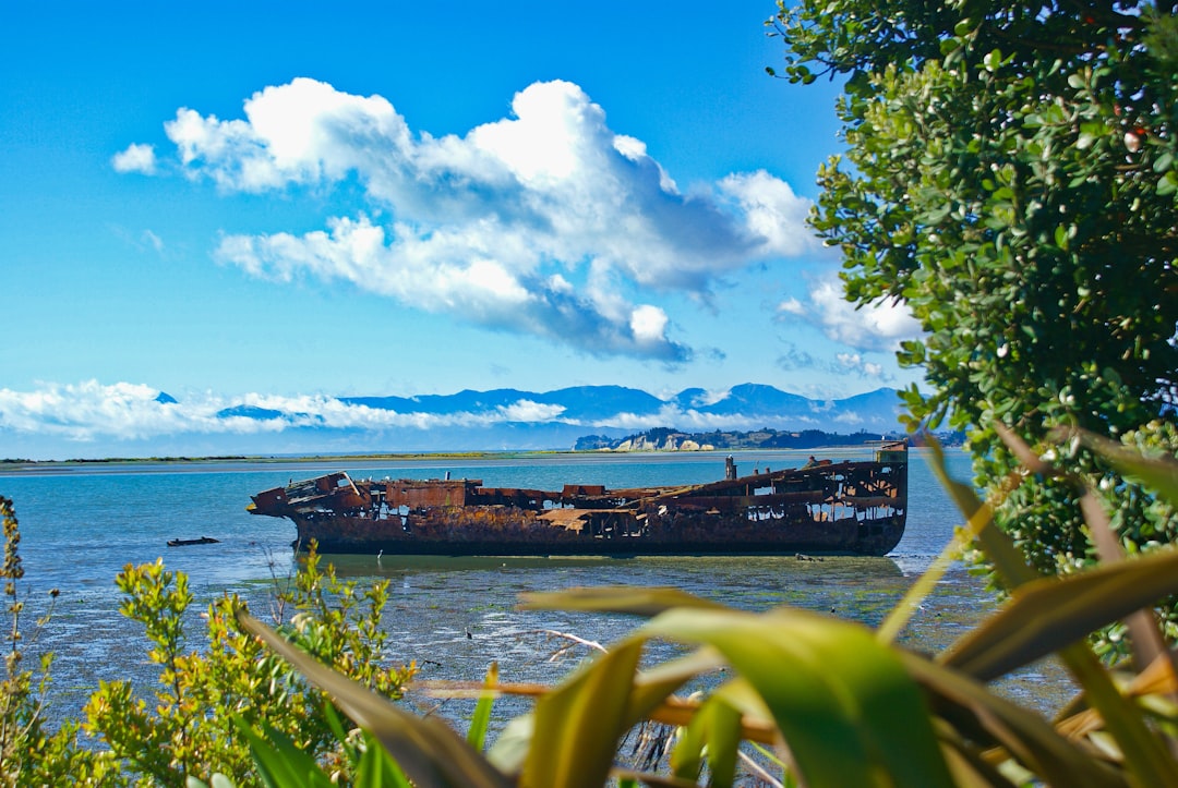 Découvrir Ship's Grab : Une icône culturelle d'Auckland - Auckland | Secret World Trip Planner