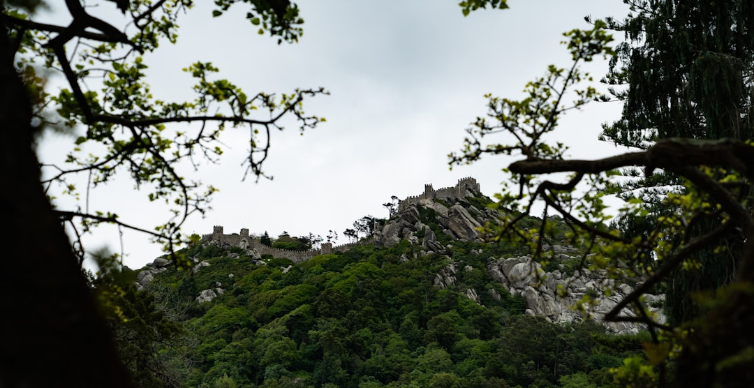 Explorer le Château des Maures : un trésor caché à Sintra - 2710-405 Sintra | Secret World Trip Planner