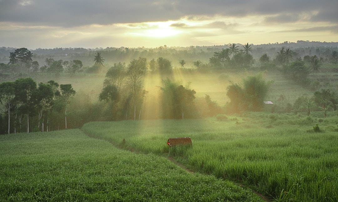 Couchers de soleil époustouflants à Sunrise Land Lombok - East Lombok Regency | Secret World Trip Planner