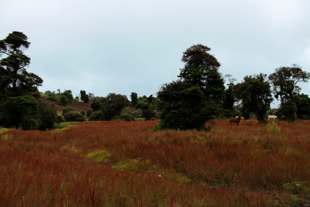 Turrialba: The Active Volcano of Costa Rica - Provincia di Cartago | Secret World Trip Planner