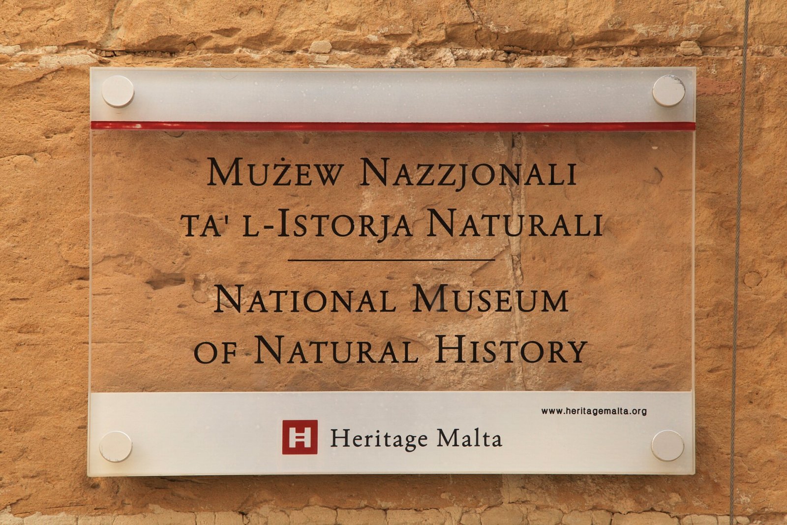 Scopri il National Museum of Natural History a Mdina, Malta - Mdina Rd | Secret World Trip Planner