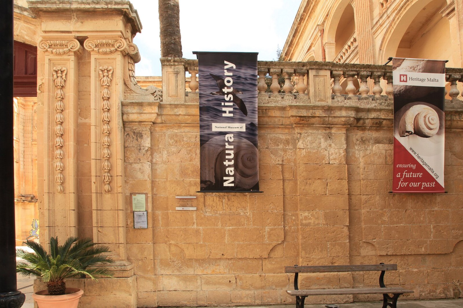 Découvrez le National Museum of Natural History à Mdina, Malte - Mdina Rd | Secret World Trip Planner