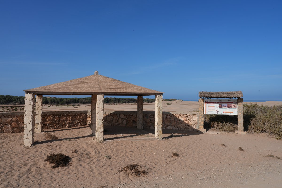 Parco Nazionale Souss Massa: natura selvaggia in Marocco - Sidi Binzarne | Secret World Trip Planner