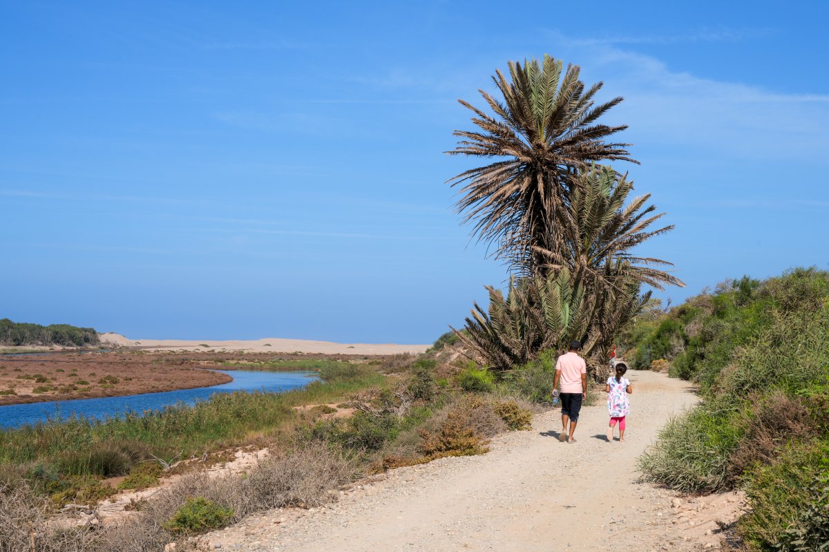 Nationalpark Souss Massa: wilde Natur in Marokko - Sidi Binzarne | Secret World Trip Planner