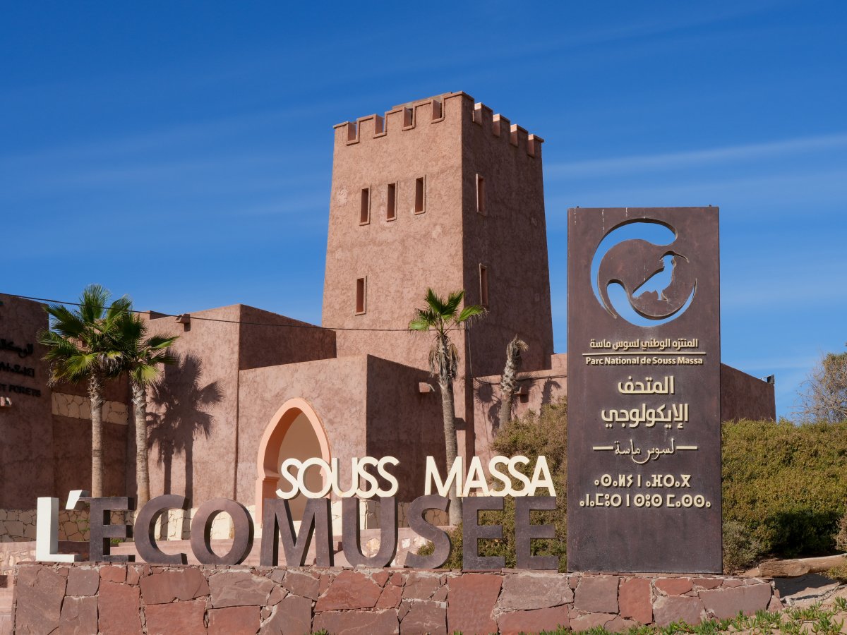 Parc National Souss Massa : nature sauvage au Maroc - Sidi Binzarne | Secret World Trip Planner