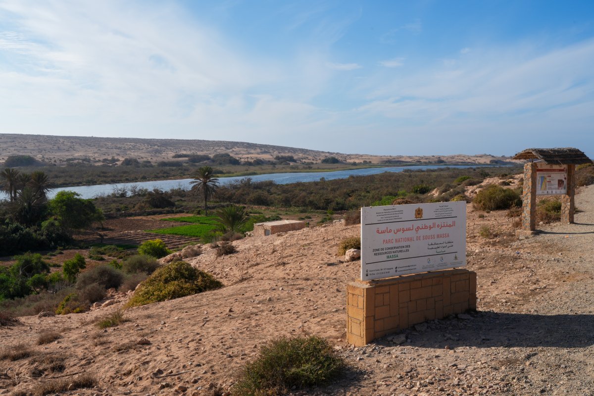 Parc National Souss Massa : nature sauvage au Maroc - Sidi Binzarne | Secret World Trip Planner