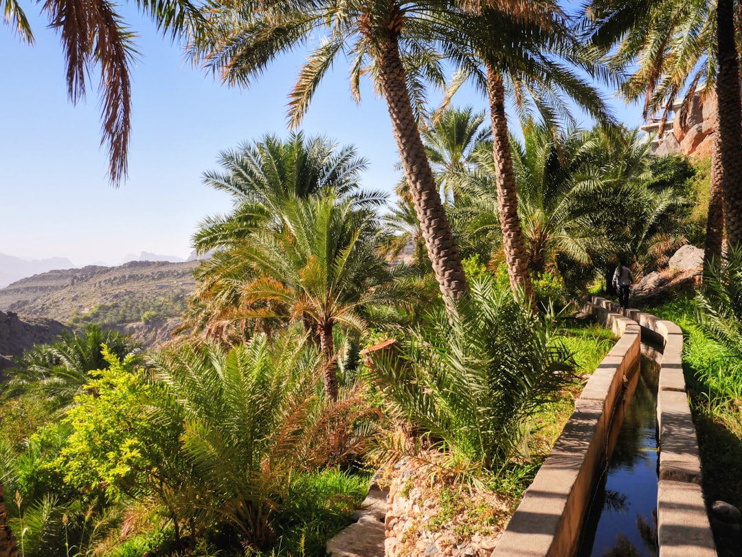 Misfah al Abriyyin: il villaggio rupestre dell'Oman — Misfah al Abriyyin