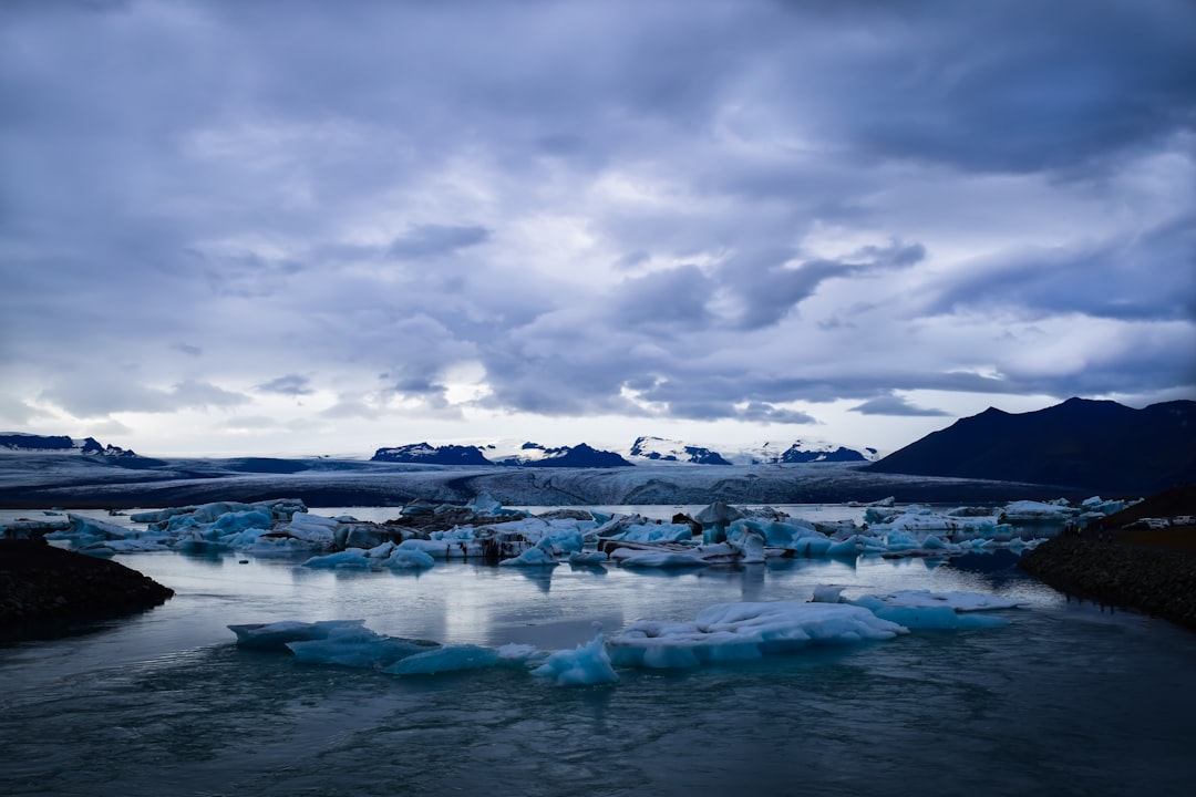 Jökulsárlón: iceberg e fauna tra i ghiacci islandesi - Jökulsárlón | Secret World Trip Planner