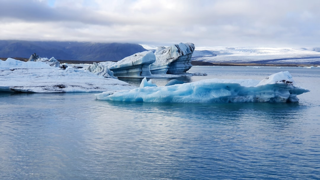 Jökulsárlón: iceberg e fauna tra i ghiacci islandesi - Jökulsárlón | Secret World Trip Planner