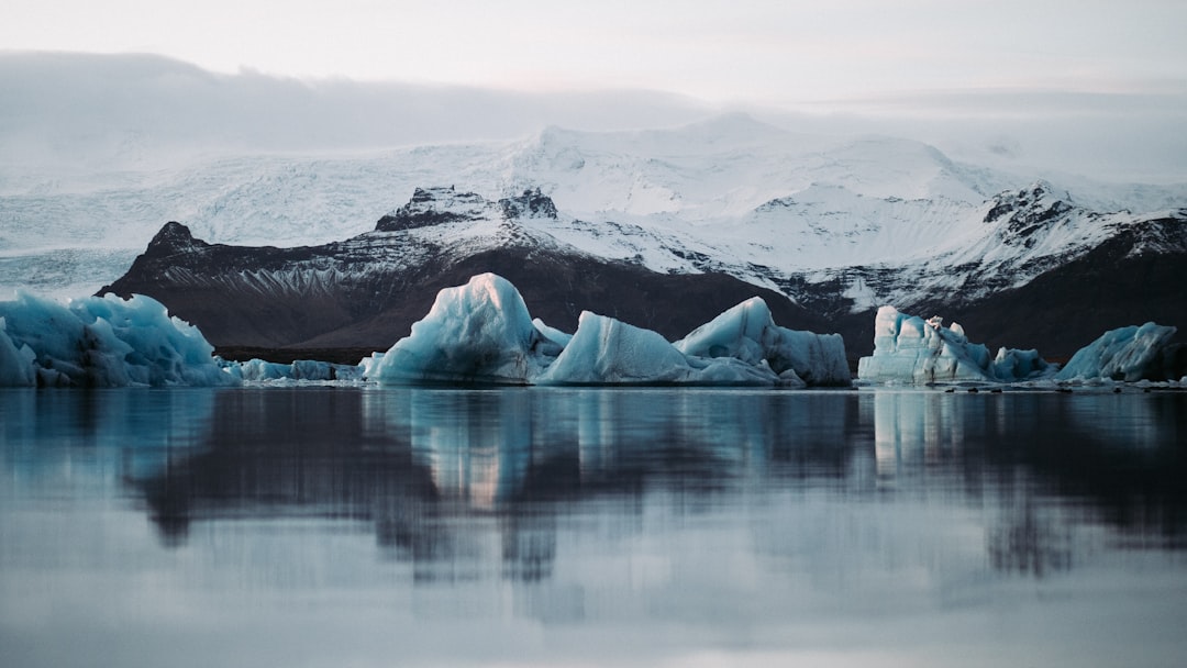 Jökulsárlón: Icebergs and Wildlife in Iceland's Glaciers - Jökulsárlón | Secret World Trip Planner