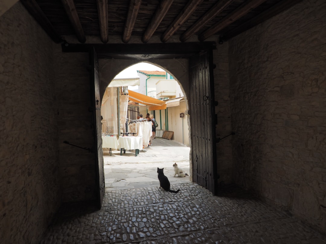 Katzenmuseum in Kotor: Katzen und Handwerker im Mittelalter - Trg Gospa od Anđela - Stari Grad 371 | Secret World Trip Planner