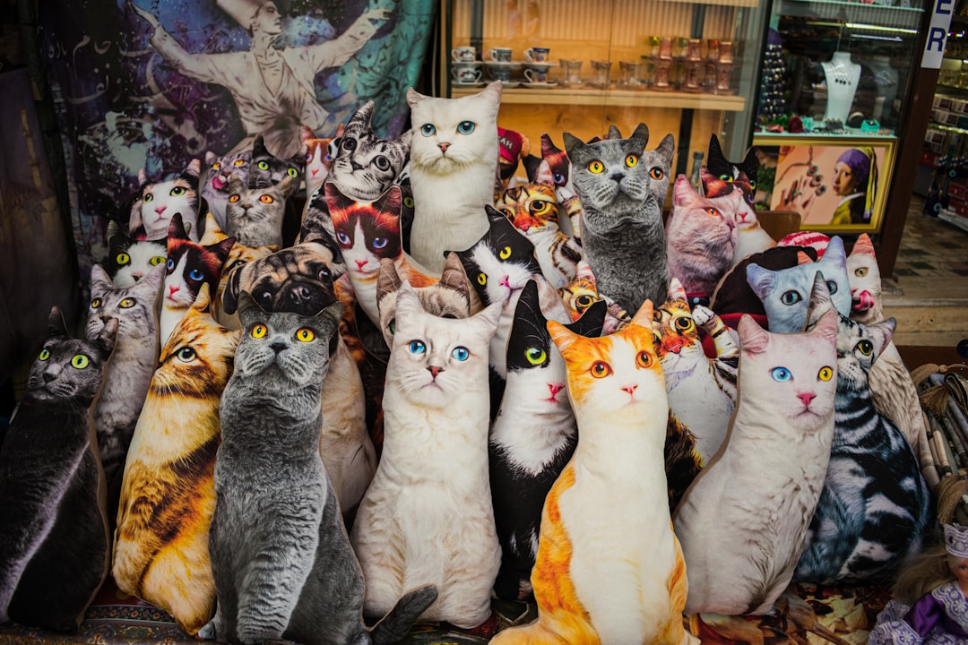 Musée des Chats de Kotor : félins et artisans médiévaux - Trg Gospa od Anđela - Stari Grad 371 | Secret World Trip Planner