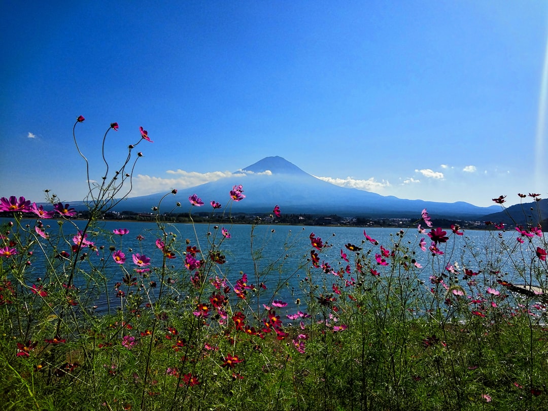 Cosa vedere a Tokyo nel 2026: guida ai luoghi imperdibili - Tokyo | Secret World Trip Planner