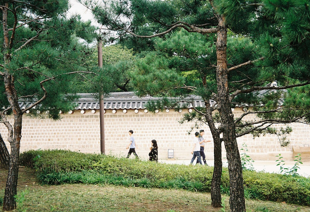 Entdecken Sie das Abraham Park Kenneth Vine Museum in Seoul - Guro District | Secret World Trip Planner