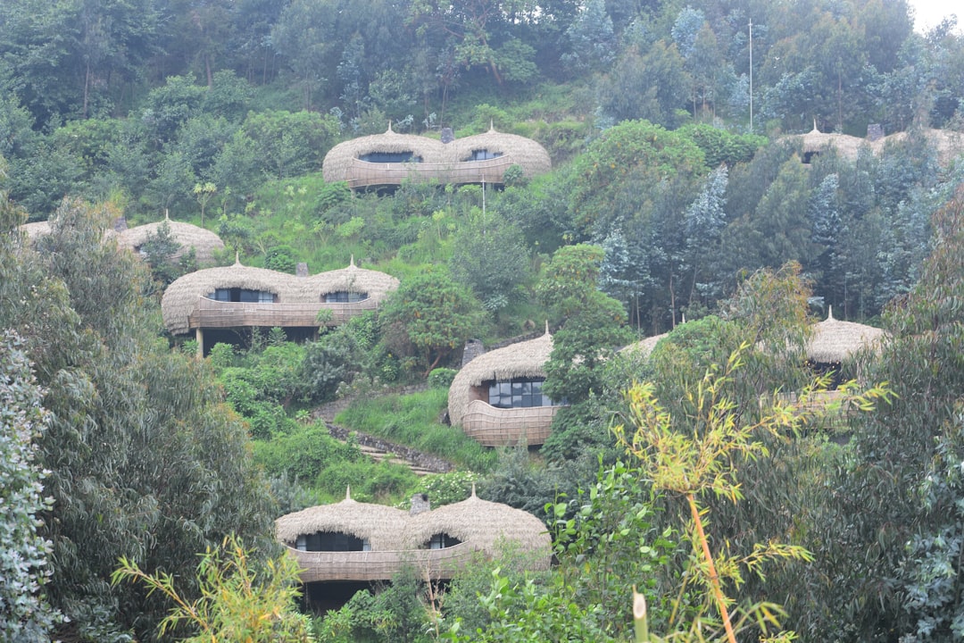 Volcanoes National Park: trekking tra i gorilla del Ruanda - NM 222 Street | Secret World Trip Planner