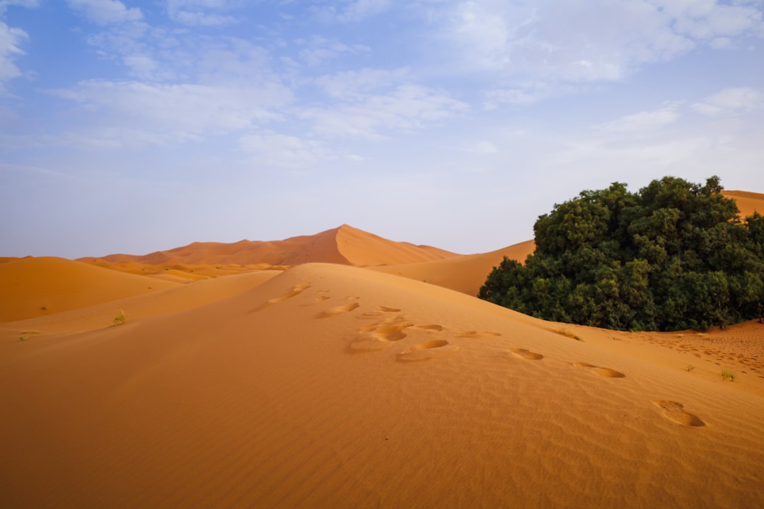 Erg Chebbi : les dunes orange du Sahara marocain - 423P+F6 | Secret World Trip Planner