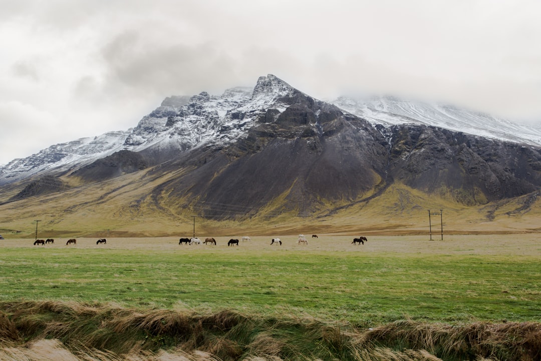 Scopri Súgandisey: un angolo incantevole dell'Islanda - Stykkishólmur | Secret World Trip Planner