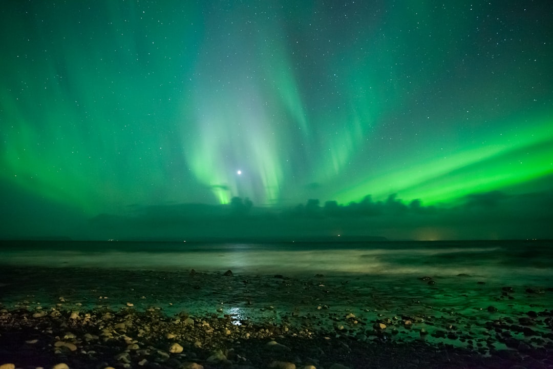 Scopri Vatnsnes: un angolo selvaggio dell'Islanda - Keflavík | Secret World Trip Planner