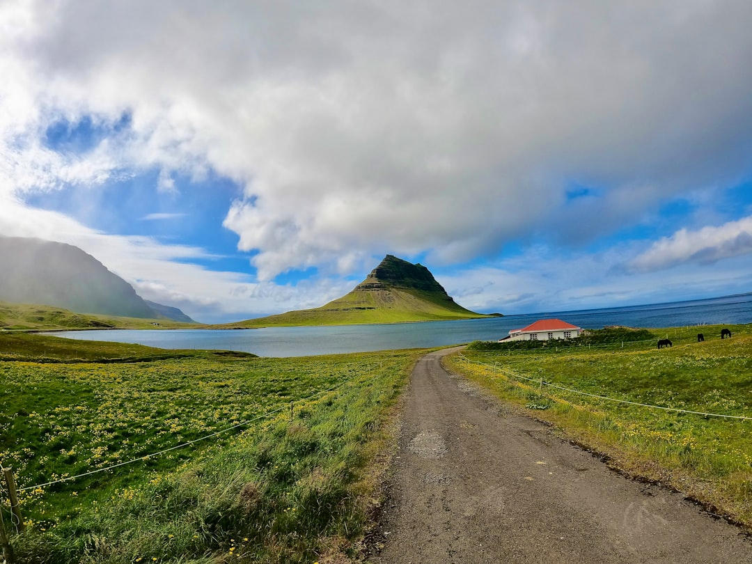 Découvrez Vatnsnes : un coin sauvage d'Islande - Keflavík | Secret World Trip Planner