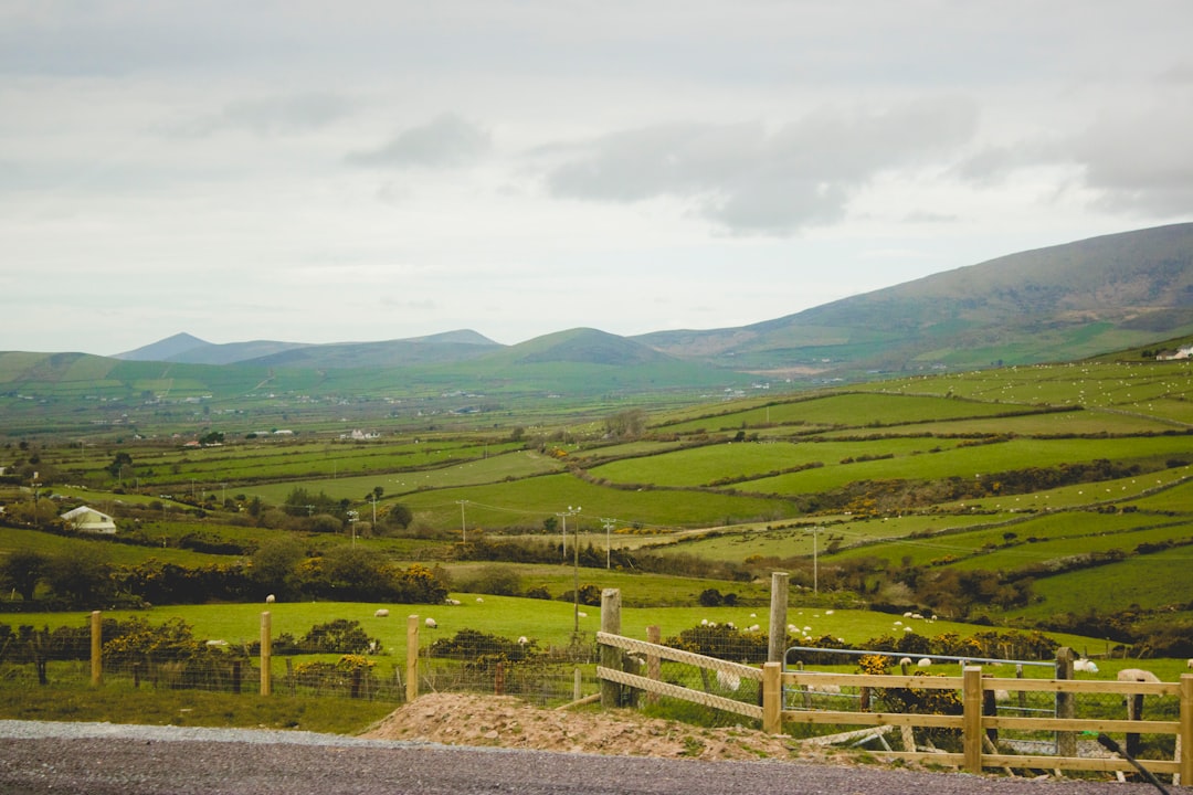 Discover Slievecoiltia: A Must-See Corner of Ireland - Slievecoiltia Commons | Secret World Trip Planner