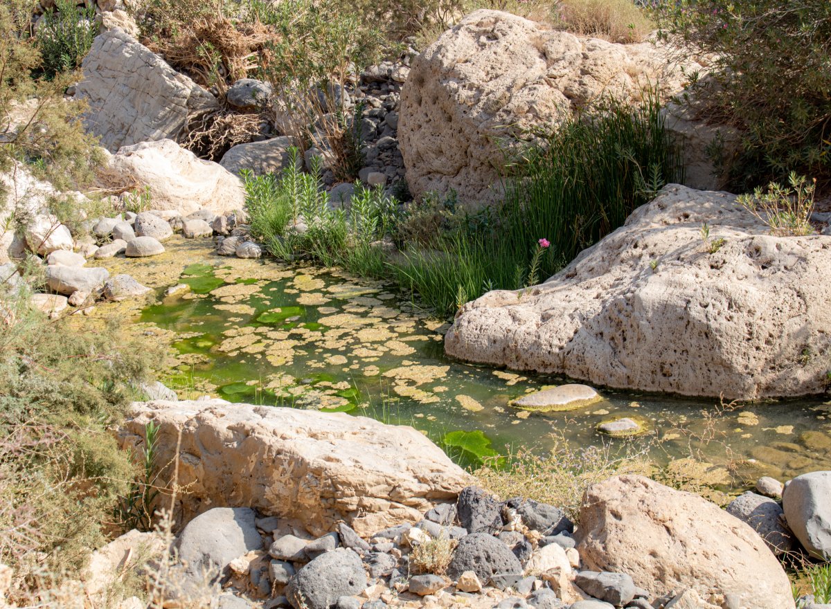 Wadi al Mujib : le canyon le plus profond de Jordanie - Wadi al Mujib | Secret World Trip Planner