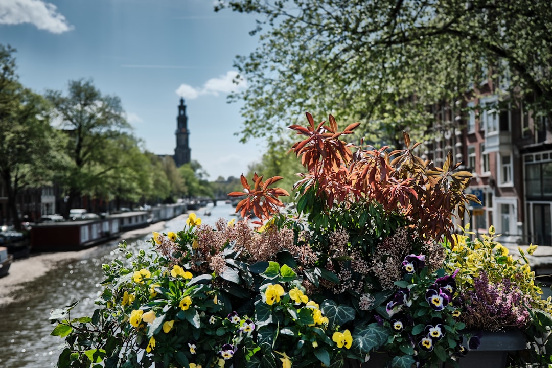 Hortus Botanicus d'Amsterdam : guide de visite - Plantage Middenlaan 2a | Secret World Trip Planner