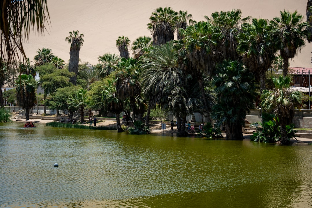 Huacachina: Die Oase in der Wüste von Ica, Peru - Unnamed Road | Secret World Trip Planner