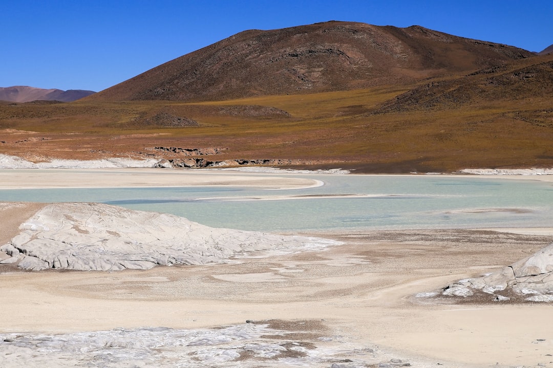 Saline Aguada Blanca: High-Altitude Wildlife Wonders - Reserva Nacional de Salinas y Aguada Blanca | Secret World Trip Planner