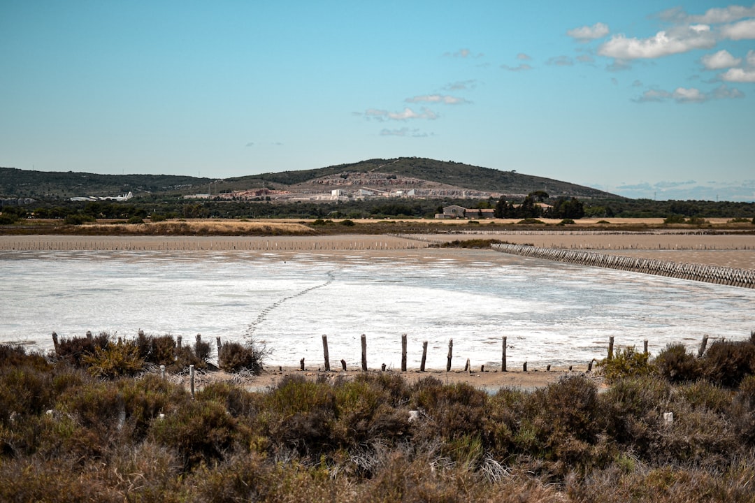 Saline Aguada Blanca : faune sauvage en altitude - Reserva Nacional de Salinas y Aguada Blanca | Secret World Trip Planner
