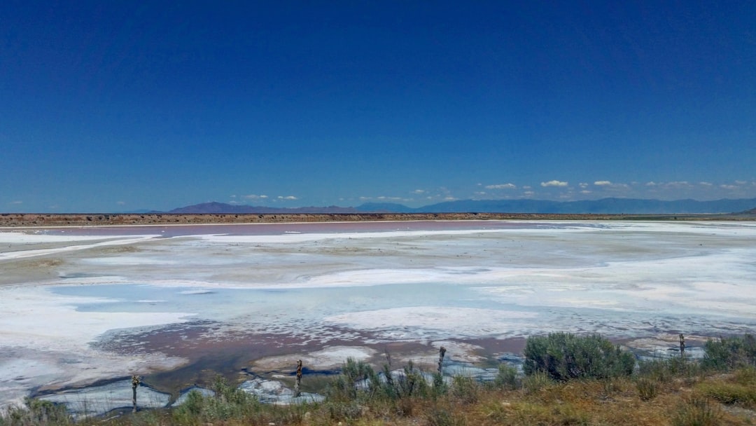 Saline Aguada Blanca : faune sauvage en altitude - Reserva Nacional de Salinas y Aguada Blanca | Secret World Trip Planner