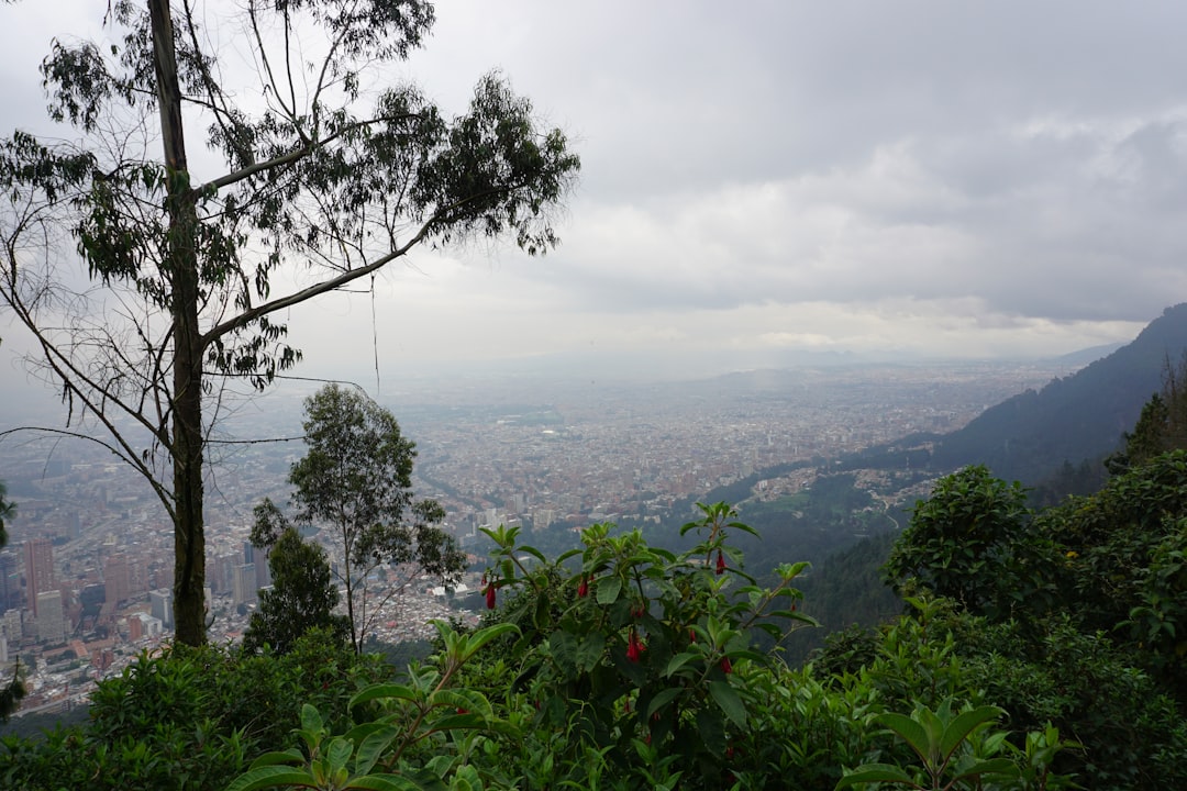 Bogotá Botanical Garden: An Andean Green Oasis - Ac 63 #68-95 | Secret World Trip Planner