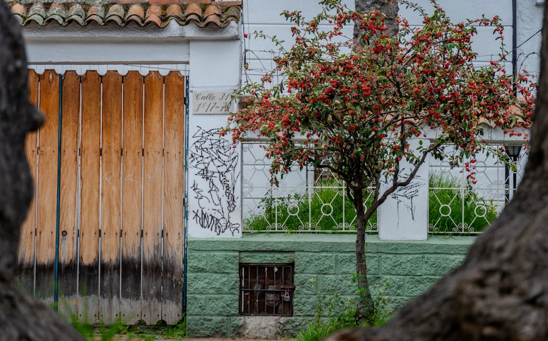 Bogotá Botanical Garden: An Andean Green Oasis - Ac 63 #68-95 | Secret World Trip Planner